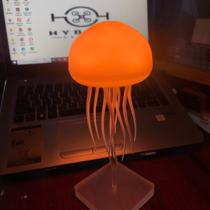 Aura Jelly fish Lamp